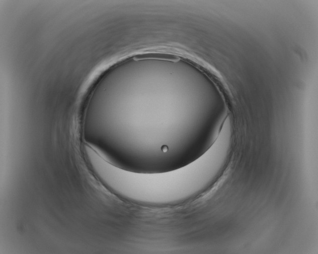 X0000113551506200910091253