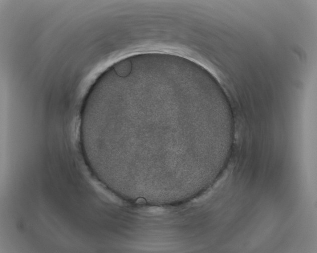 X0000113551507200910091253