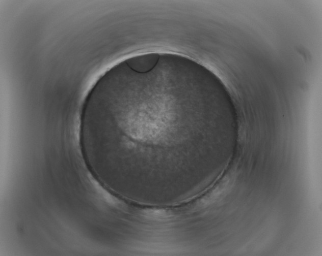 X0000113551508200910091253