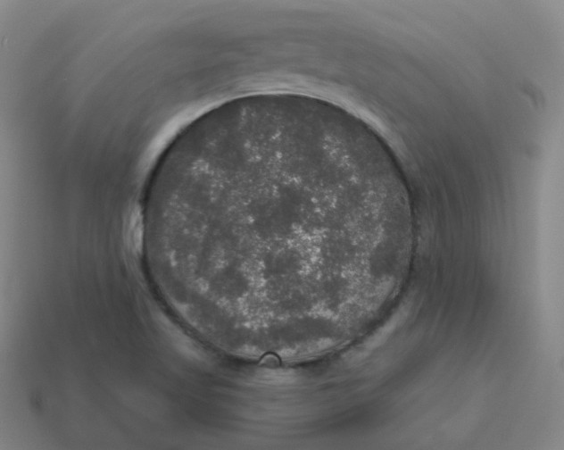 X0000113551509200910091253