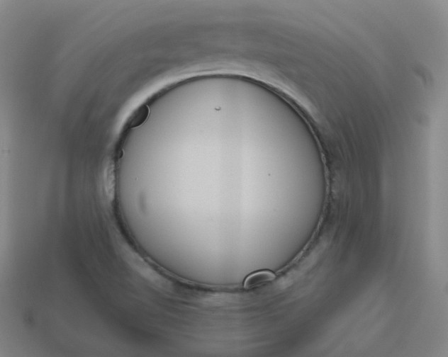 X0000113551510200910091253