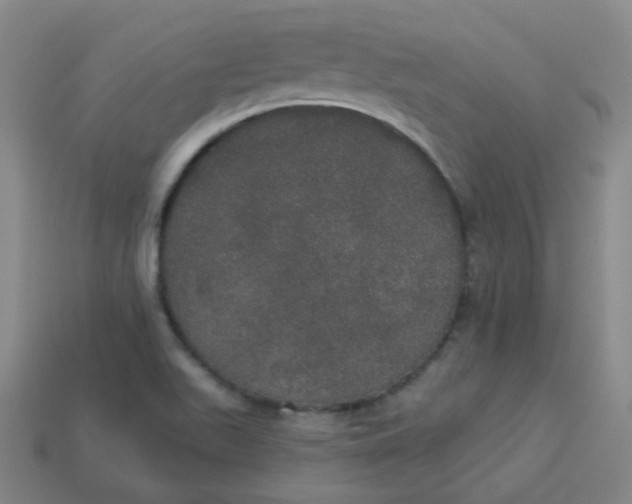 X0000113551511200910091253