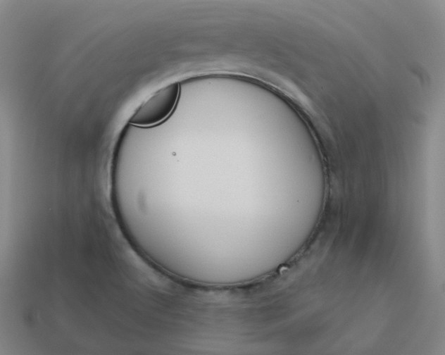 X0000113551512200910091253