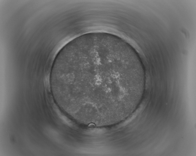 X0000113551513200910091253