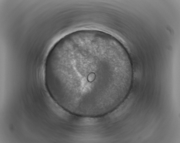 X0000113551514200910091253