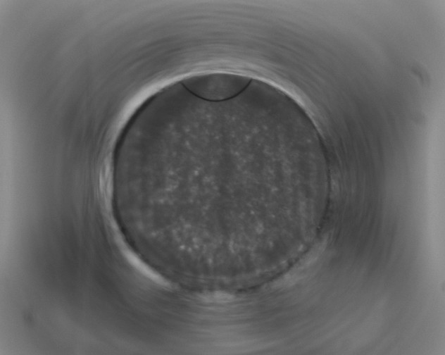 X0000113551515200910091253