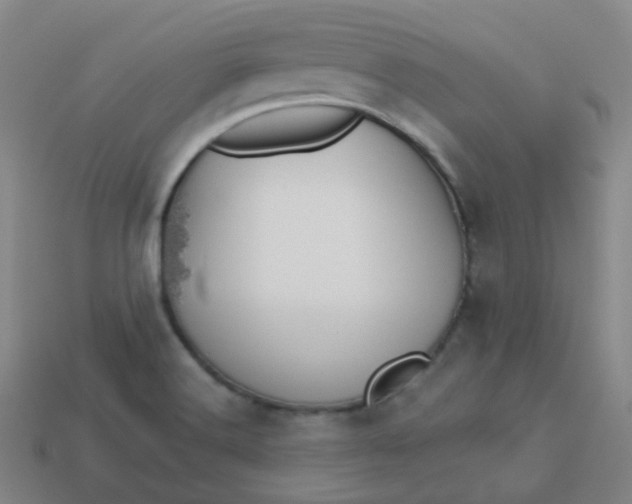 X0000113551516200910091253