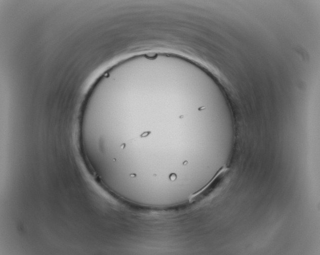 X0000113551518200910091253