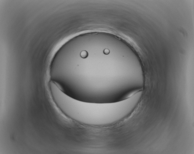 X0000113551520200910091253