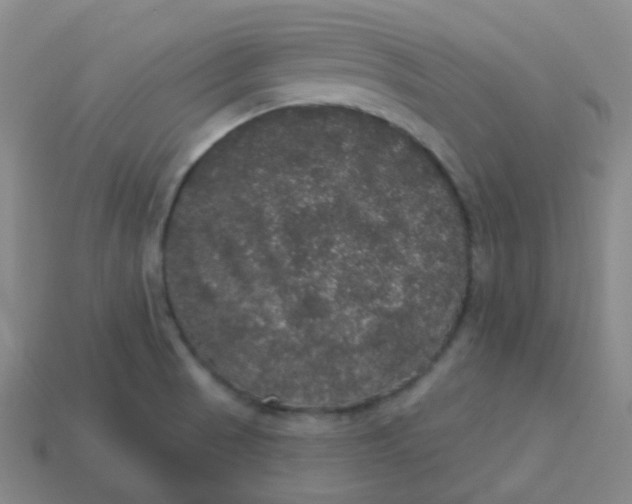 X0000113551521200910091253