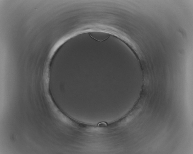 X0000113551522200910091253