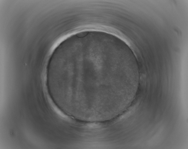 X0000113551523200910091253