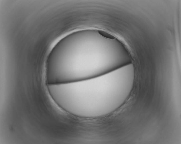 X0000113551524200910091253