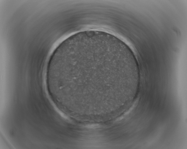 X0000113551525200910091253