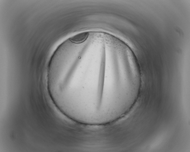 X0000113551526200910091253