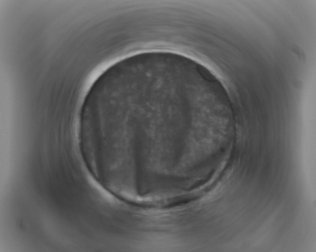 X0000113551527200910091254