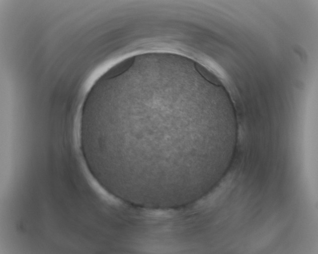 X0000113551528200910091254