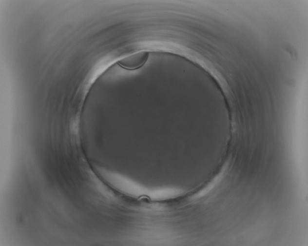 X0000113551529200910091254