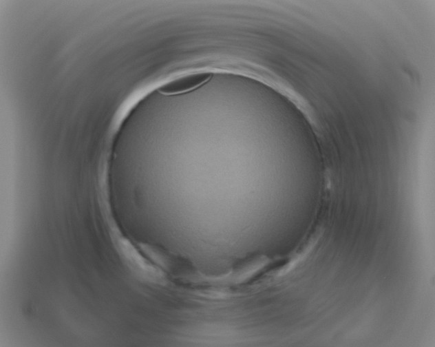 X0000113551530200910091254