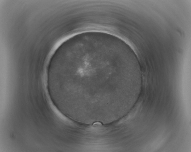 X0000113551531200910091254