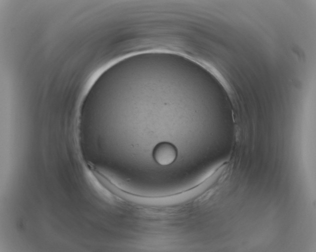 X0000113551532200910091254