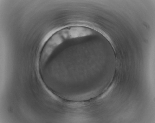 X0000113551533200910091254