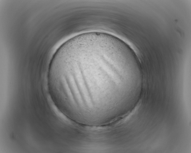 X0000113551534200910091254