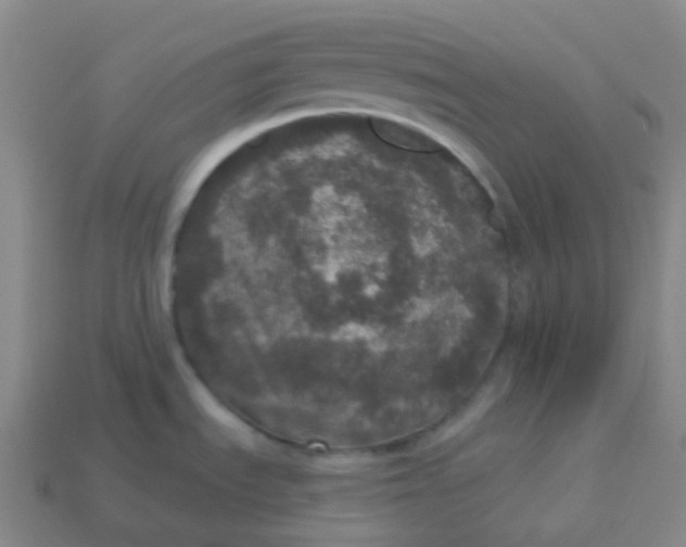 X0000113551535200910091254