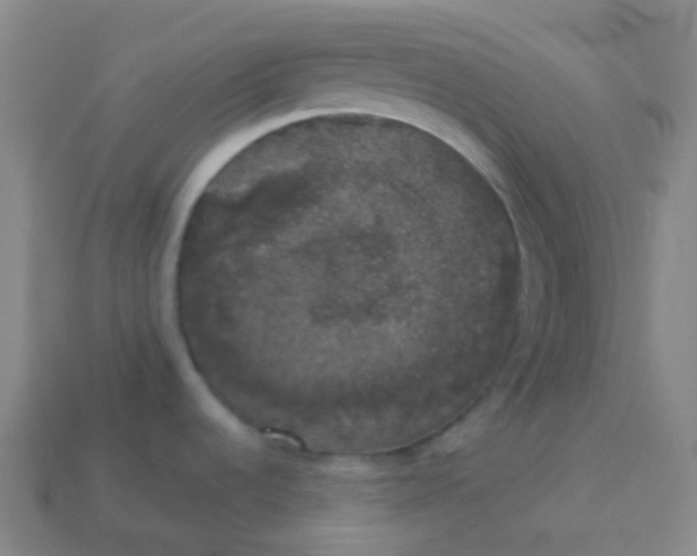 X0000113551536200910091254