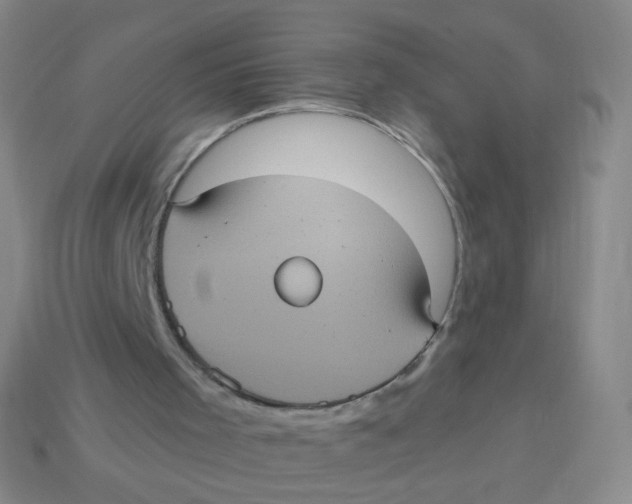 X0000113550001200910161444