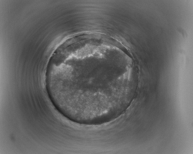 X0000113550002200910161444