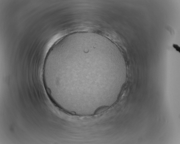 X0000113550003200910161444