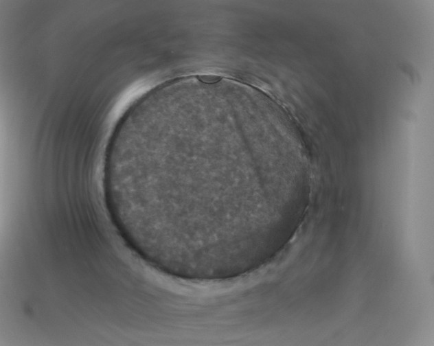 X0000113550006200910161444