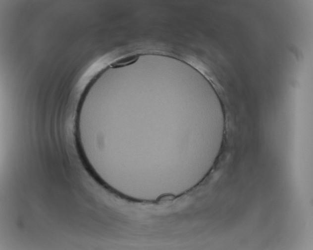 X0000113550007200910161444