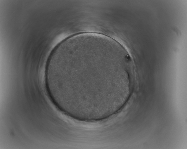 X0000113550008200910161444