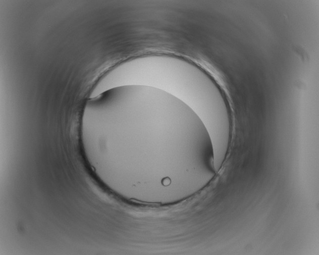 X0000113550009200910161444