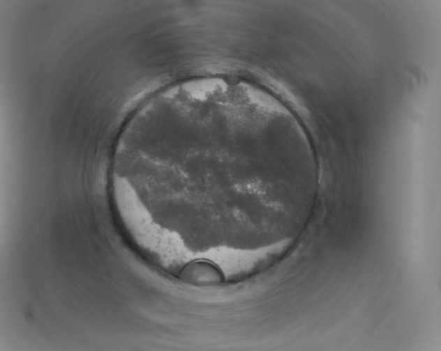 X0000113550010200910161444