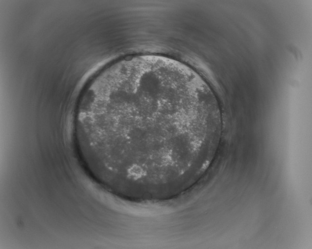 X0000113550012200910161444