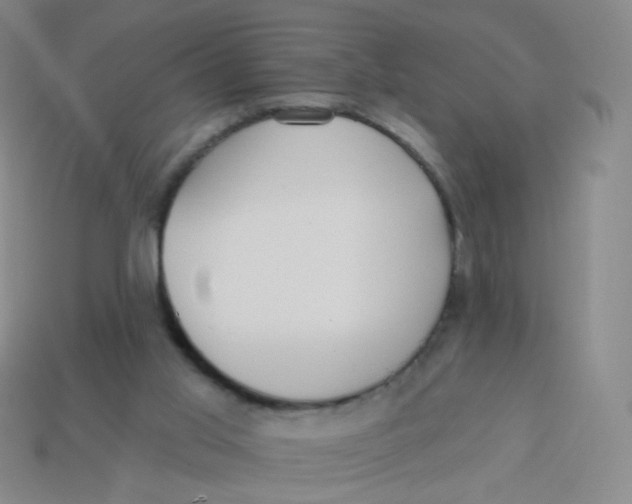 X0000113550013200910161444