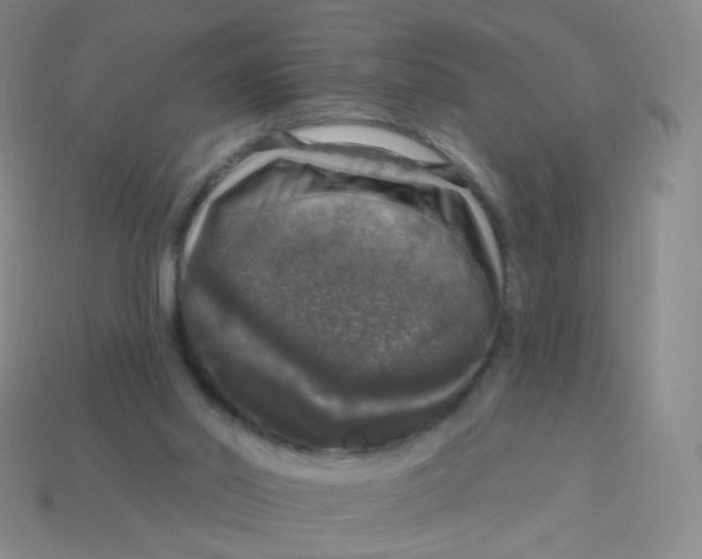 X0000113550014200910161444