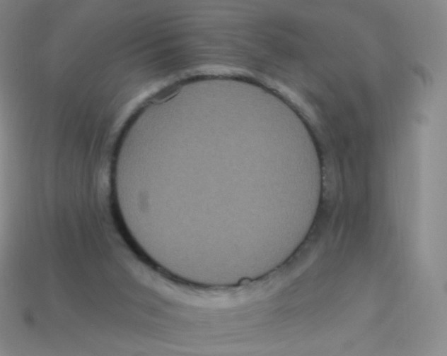 X0000113550015200910161444