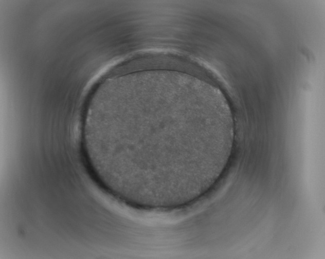 X0000113550016200910161444
