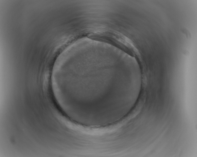 X0000113550018200910161444