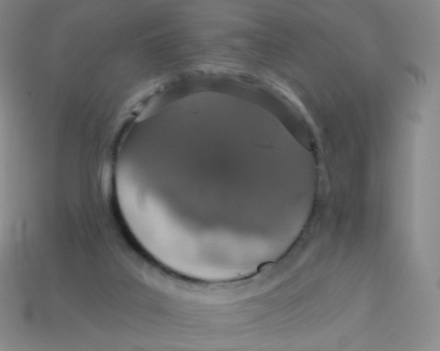 X0000113550019200910161444