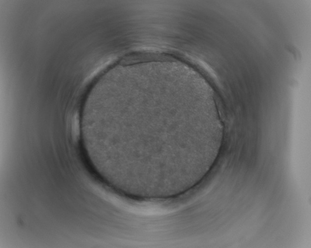 X0000113550020200910161444