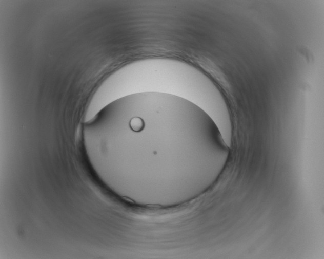 X0000113550021200910161444