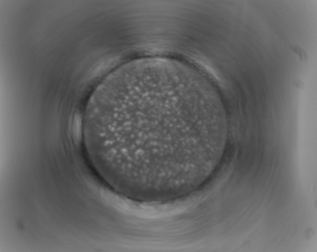 X0000113550022200910161444