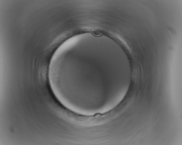 X0000113550023200910161444