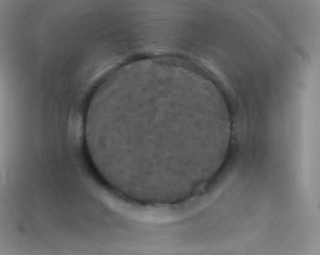 X0000113550024200910161444