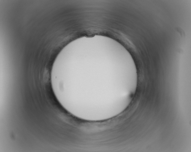 X0000113550025200910161444
